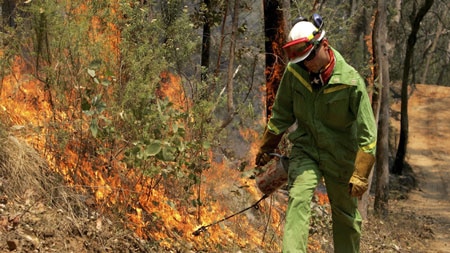 A firefighter shields himself from the heat while doing back-burning in scrubland