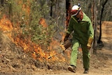 A firefighter shields himself from the heat while doing back-burning in scrubland