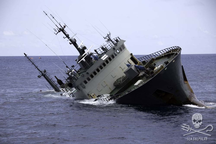 Nigerian flagged fishing ship Thunder sinks