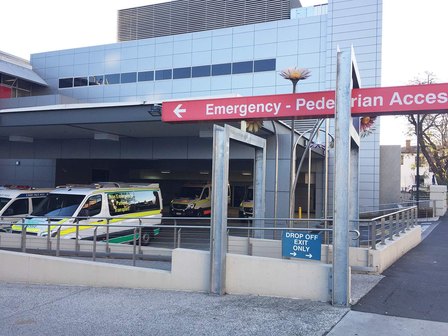 Nurses punched and bitten in Launceston General Hospital emergency