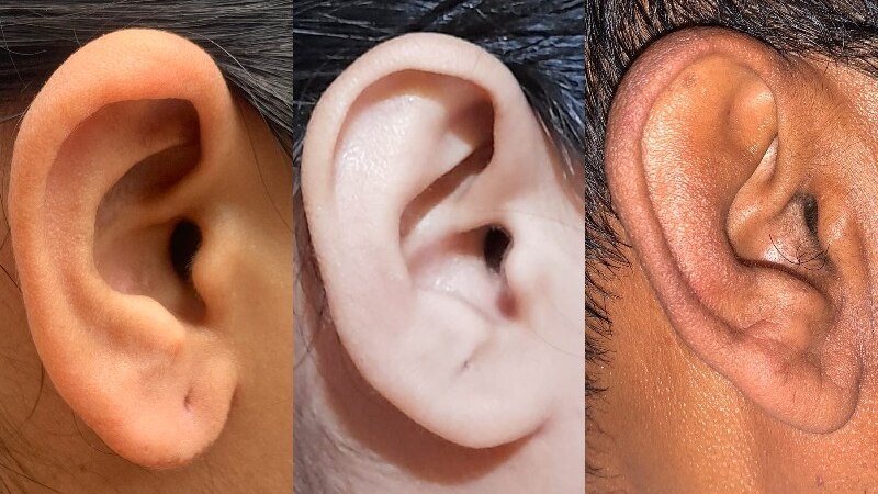 A close of three different ears