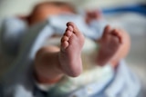 A newborn baby lies in a cot. The baby's feet are in focus while the rest of the background is blurred