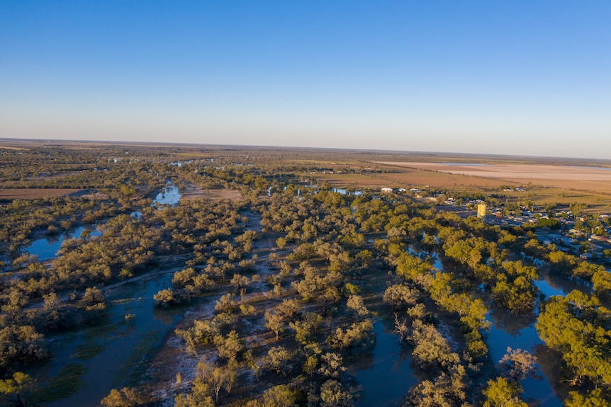Aerial photo of large expanse of trees and water with blue sky visible on horizon.