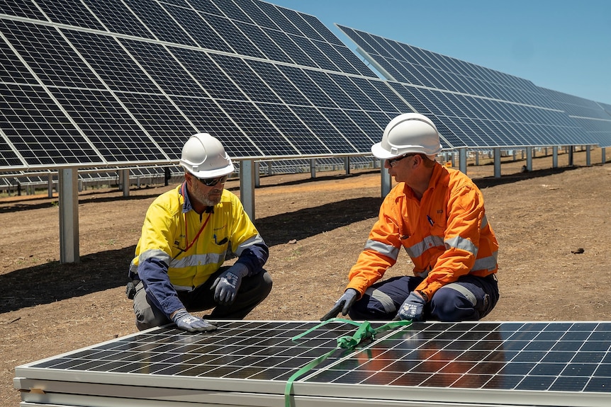 Two white men in hard hats and high-viz clothing examine a solar farm