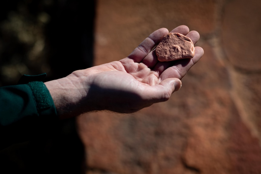 An outstretched hand holding the impression of a fossil.