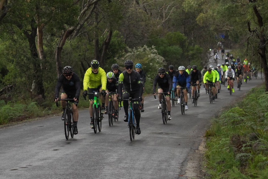 Large group of cyclists on an unidentified road in Tasmania, as part of the 2018 Tour de Mo event