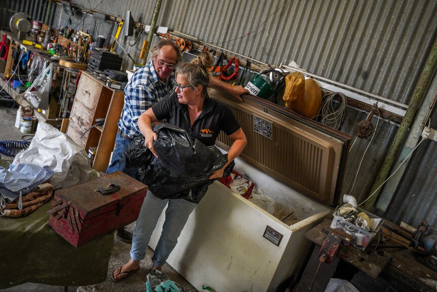 A woman in a black polo and jeans carries a black bag out of a freezer in a shed.