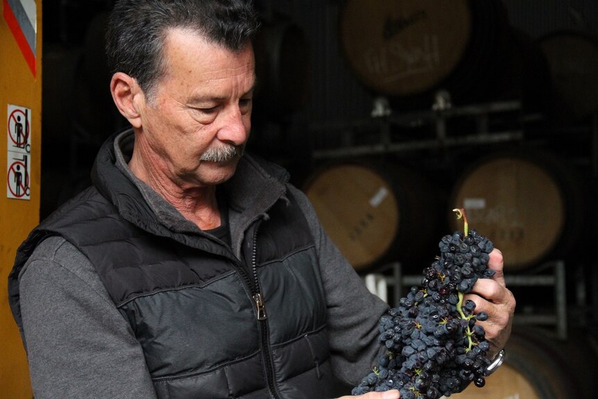 Robert Karri-Davies, a Margaret River winemaker