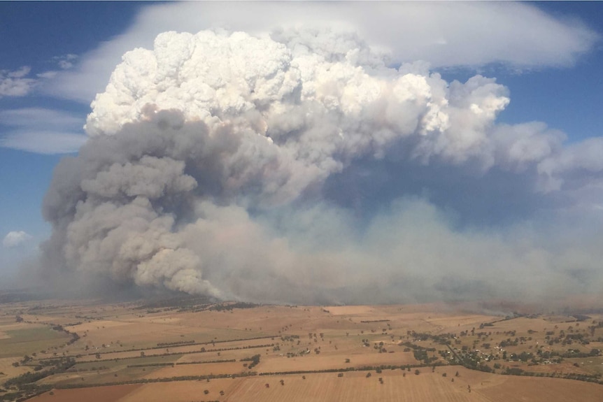 A huge smoke cloud rises above brown farmland.