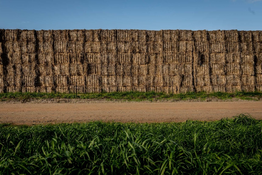 A dirt track, with a large stack of Hay behind it taller than 20 metres.