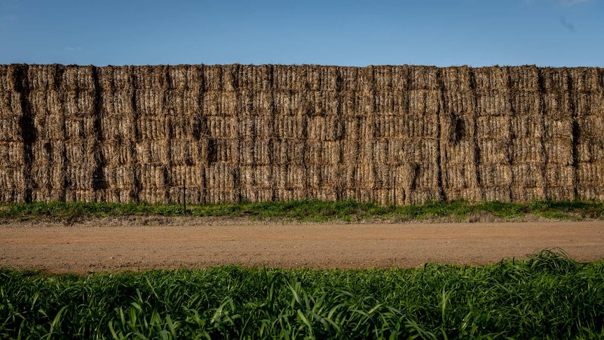 A dirt track, with a large stack of Hay behind it taller than 20 metres.