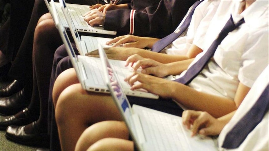 Students work on laptop computers