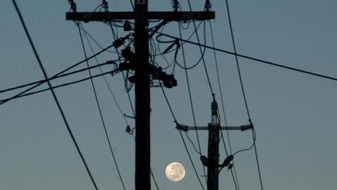 File photo: Overhead cables (ABC News: Giulio Saggin)