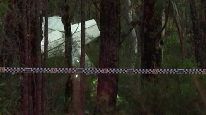 light plane crashed at Wedderburn in Sydney's south-west
