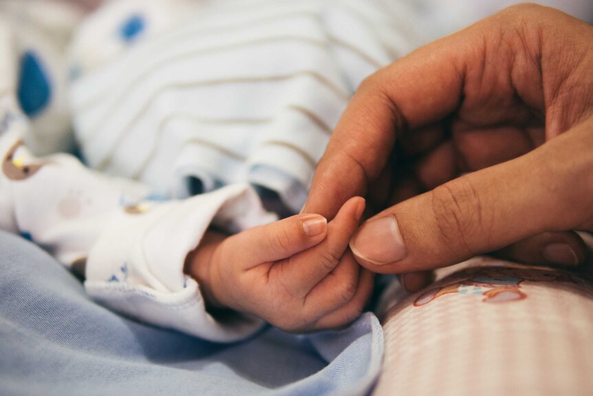 An adult's hand holds the hand of a small baby.
