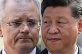 澳大利亚总理莫里森与中国国家主席习近平合成照片