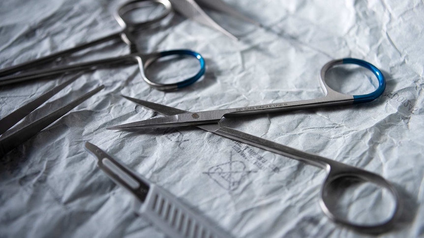 A pair of surgical scissors, clamps and a scalpel rest on paper.