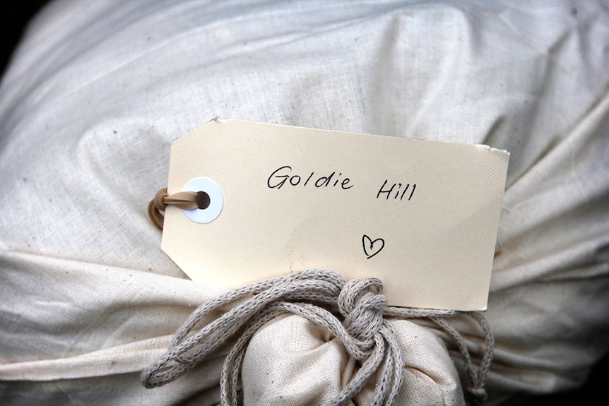 A muslin bag, tied, with a label reading 'Goldie Hill' and a drawn heart attached to it.