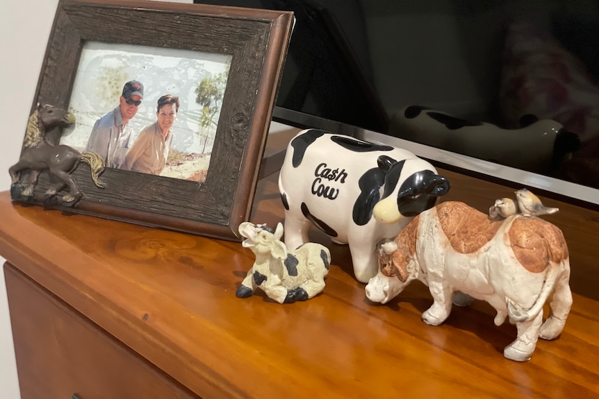 A photo frame with a man and a woman, and three cow statues.