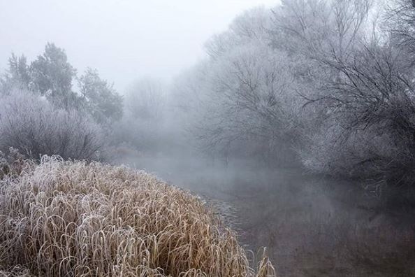 Fog and frost on a river