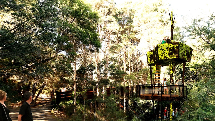 A tree house gazebo set inside the rainforest at the Botanic Gardens.