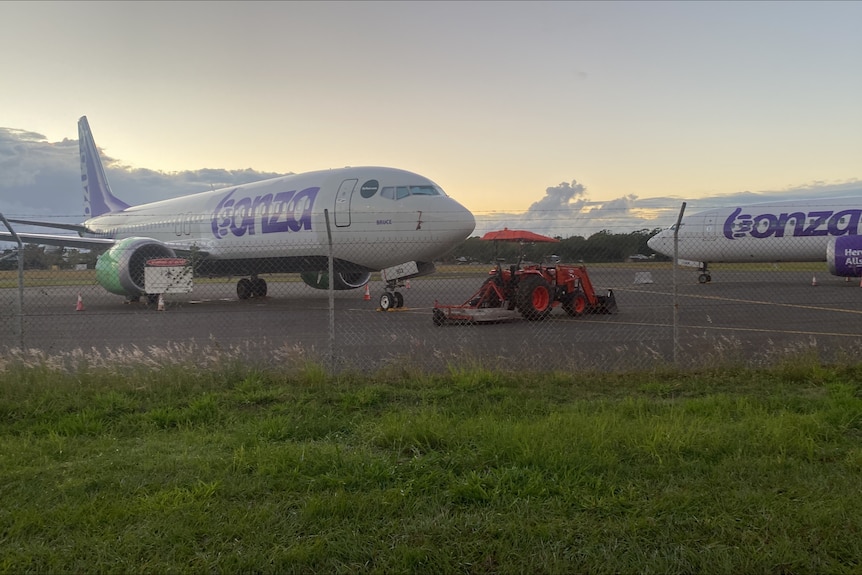 Aircraft with purple designs parked on tarmac