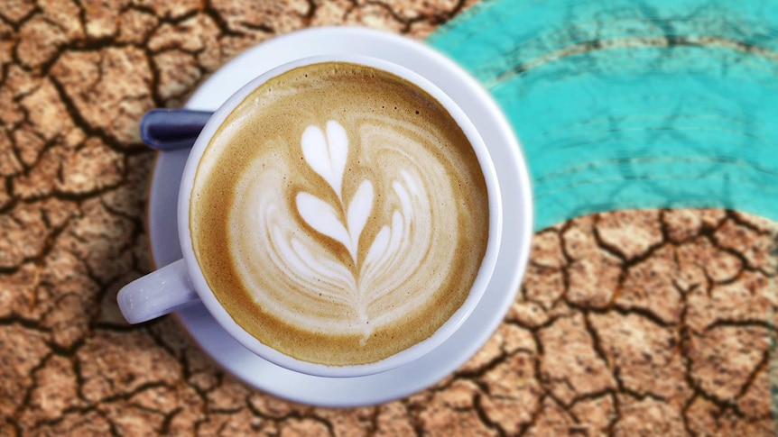 A cup of coffee sits on a dry, cracked earth suggesting a lack of hydration from drinking coffee.