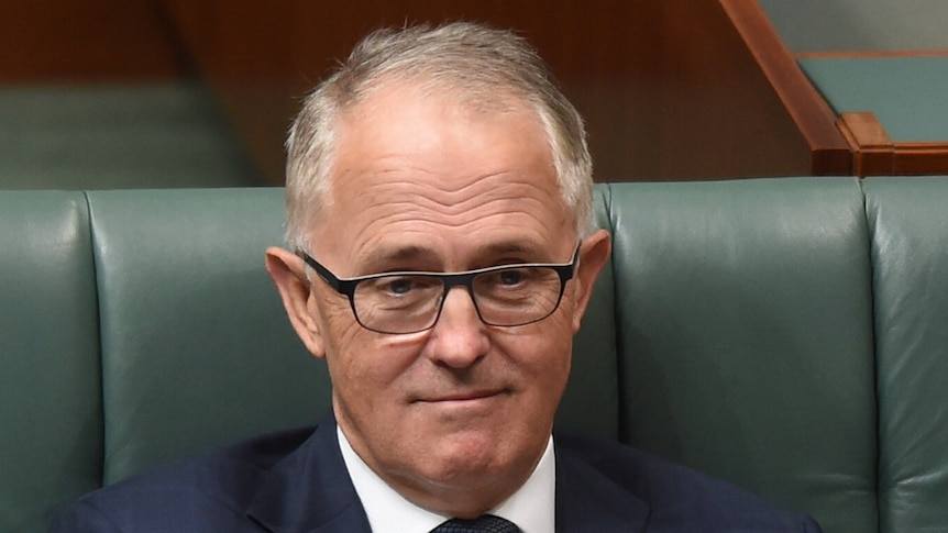 Communications Minister Malcolm Turnbull