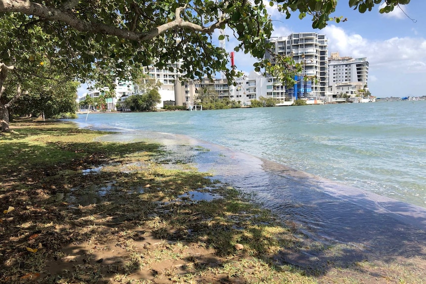 Water flows over the retaining wall at Cotton Tree and into the park area.