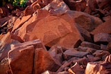 A petroglyph in Murujuga, Western Australia, shows a kangaroo, on red rock.