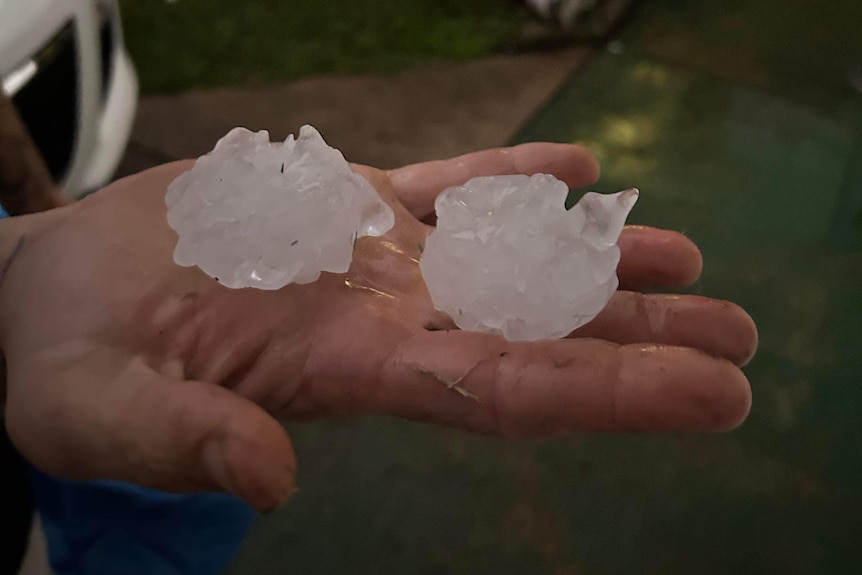 A hand holding two large hailstones with jagged edges, slightly smaller than tennis balls.