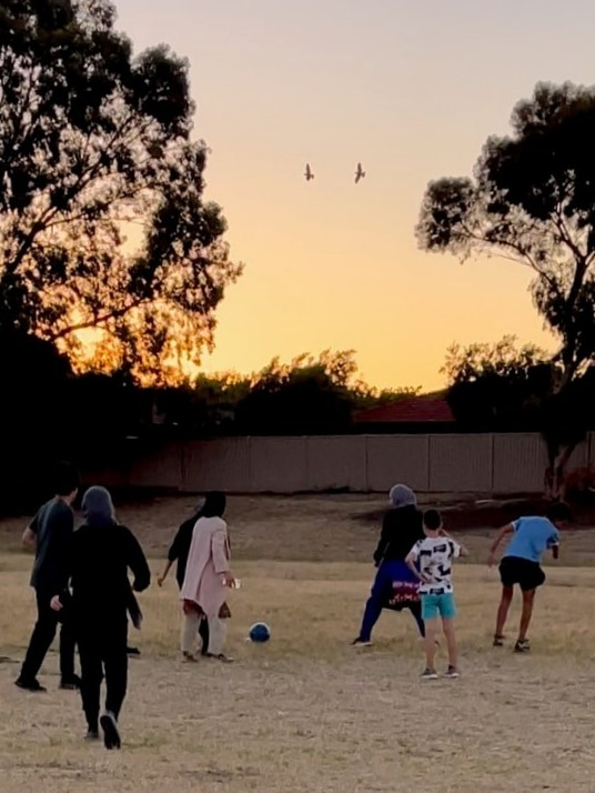 Six young boys and girls kick a soccer ball at dusk in Shepparton with an orange sunset in the background.