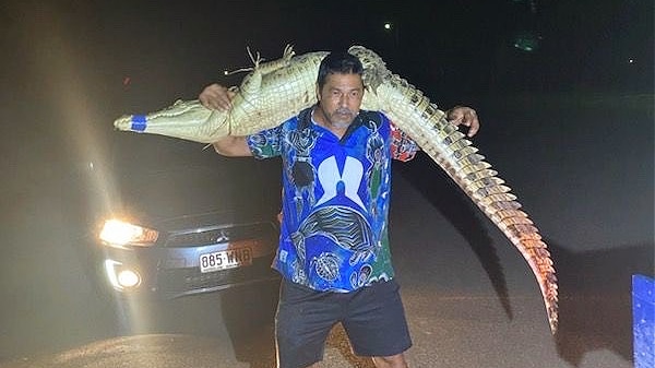 Photo of an Indigenous man in a bright blue shirt carries a restrained crocodile over his shoulders