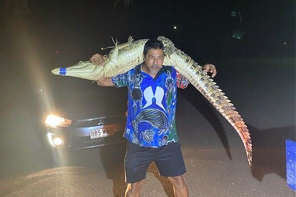 Photo of an Indigenous man in a bright blue shirt carries a restrained crocodile over his shoulders