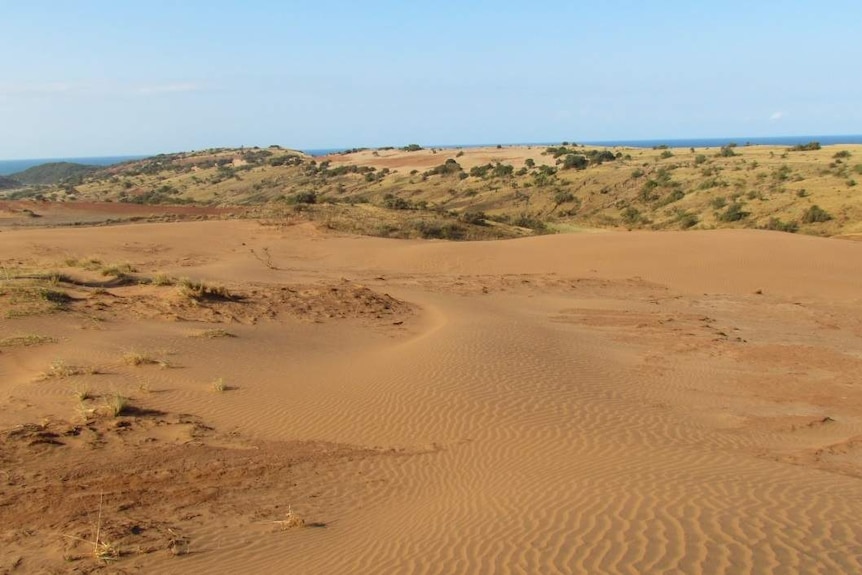 Xolobeni mineral sands