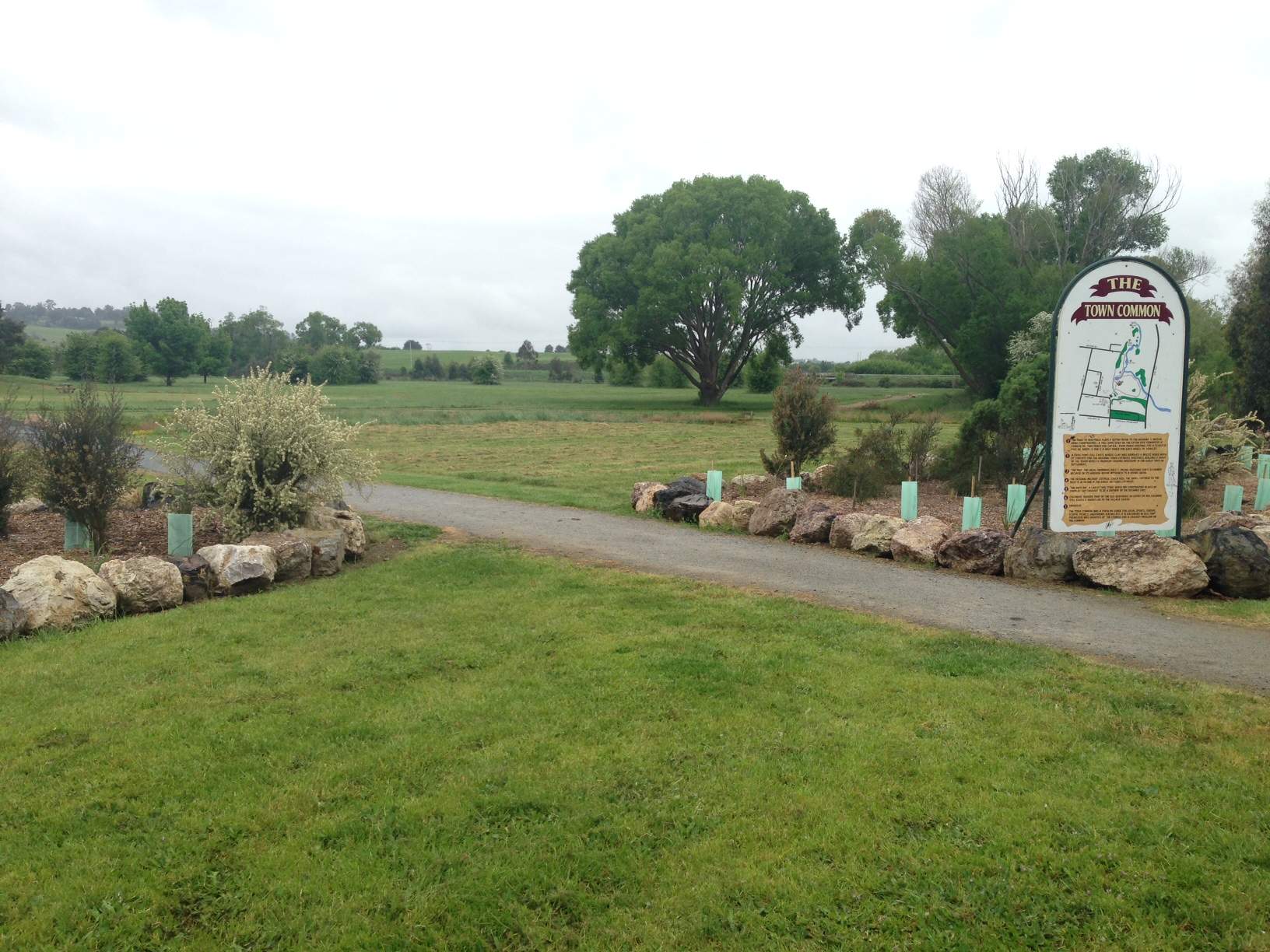 st patricks day westbury tasmania 2025