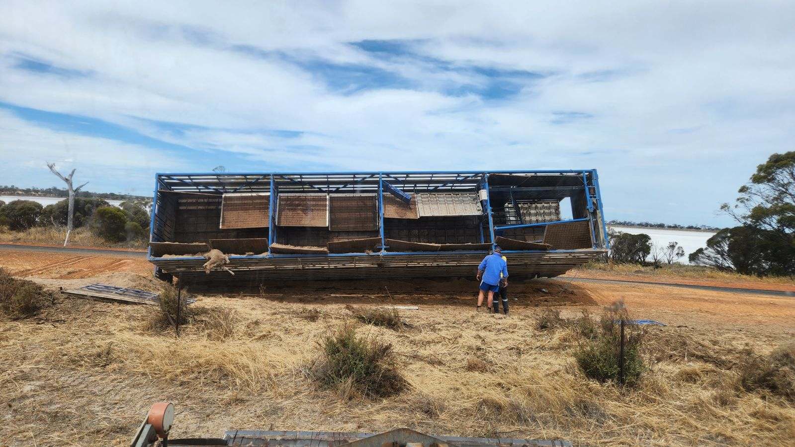 a road train trailed on its side with a dead animal in the tray 