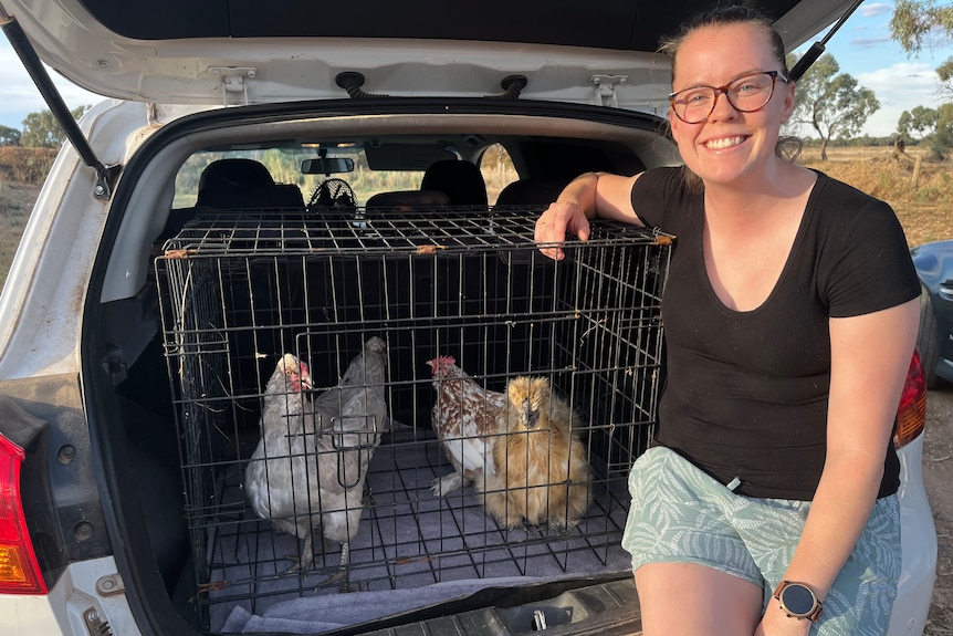 Sarah Longo sits beside a cage of chickens that she has loaded in the boot of her car