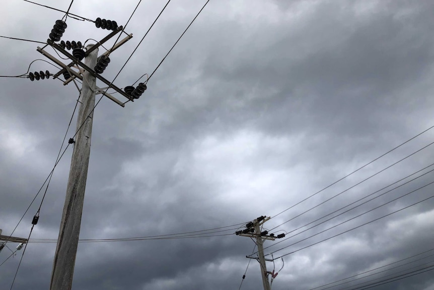 electricity poles and wires under a grey sky.