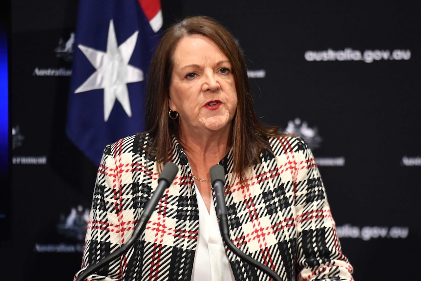 Alison McMillan looks slightly to the right as she stands at a podium with two microphones on it. Her short brown hair is down.