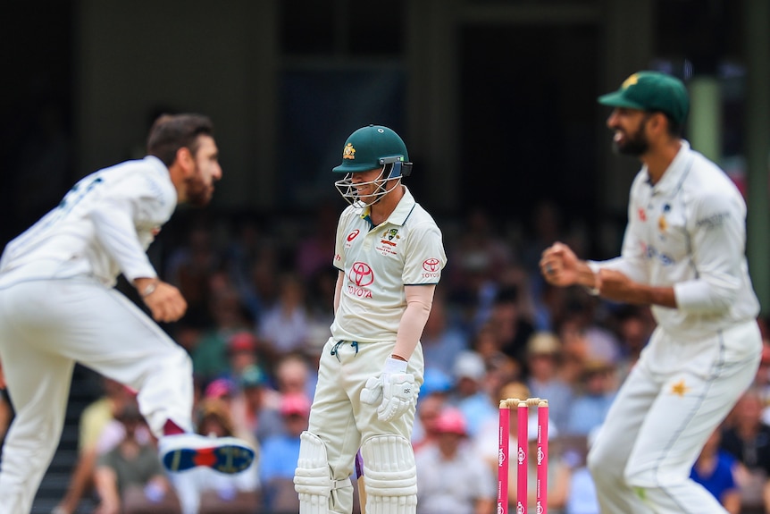 Pakistan's Agha Salman and Shan Masood celebrate as Australia batter David Warner hangs his head.