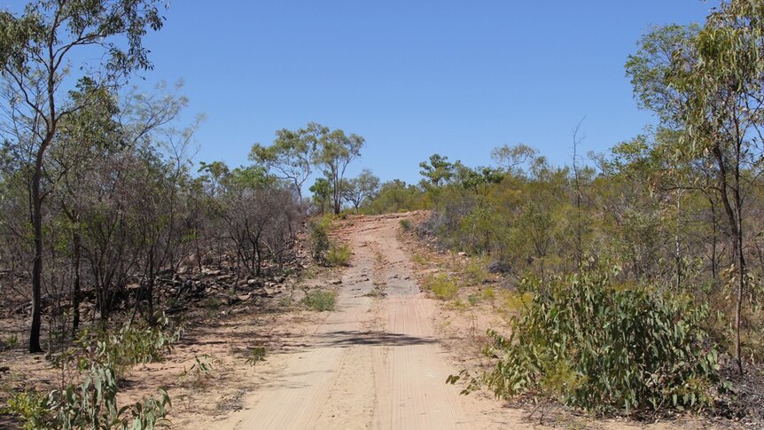 A road with burnt scrub to the left and unburnt scrub to the right