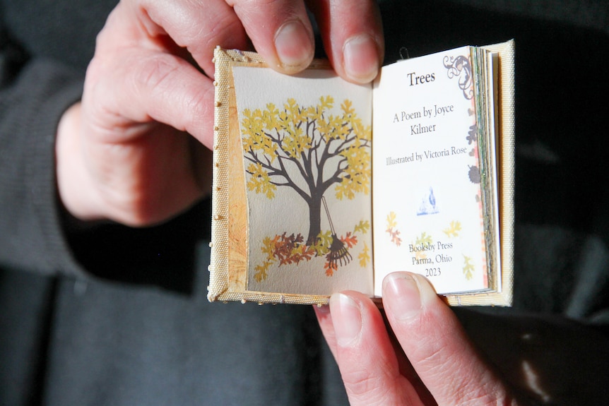 Inside a miniature book