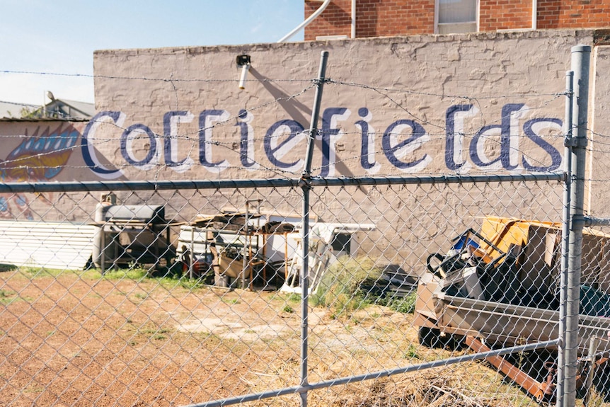 A sign says "Colliefields" on a brick wall.