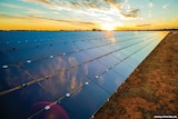 Solar panels in the desert