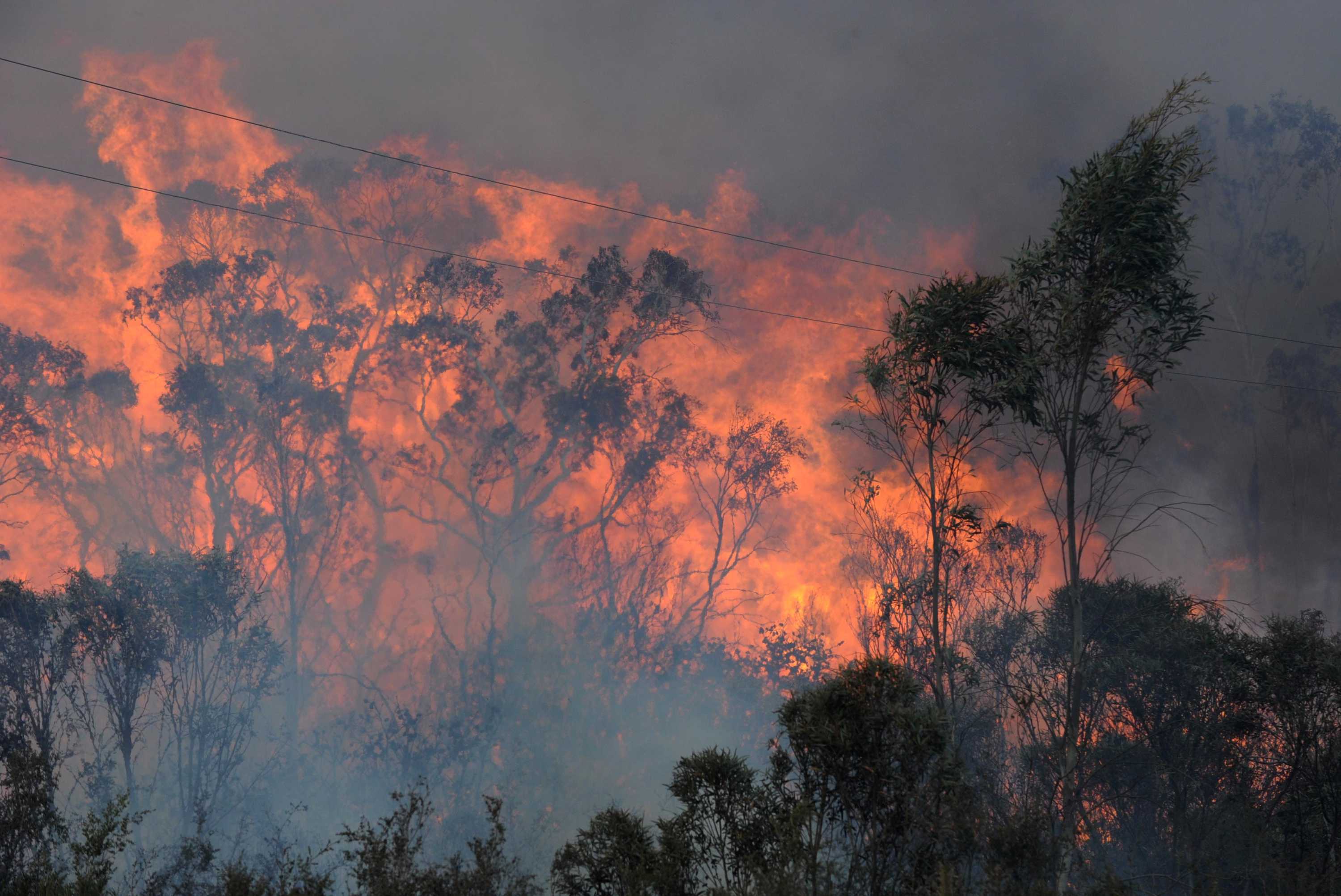 Rfs State Mine Fire Under Control But Still Dangerous Abc News
