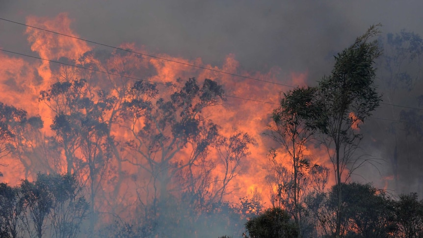 A bushfire jumps the Bells Line Road north of Lithgow.