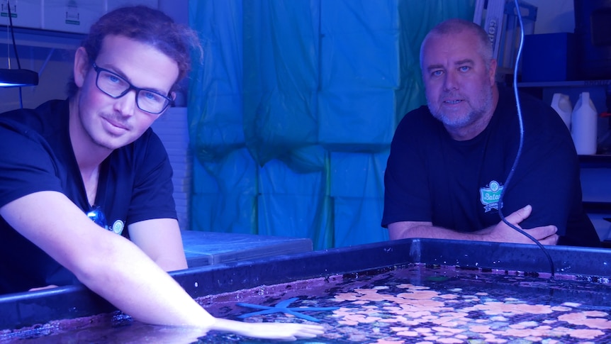 Two men, lit with a blue light, in front of a coral aquarium.