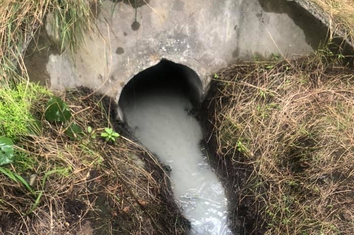 Grey clouds of pollution are seen in a river creek bed surrounded by green plants