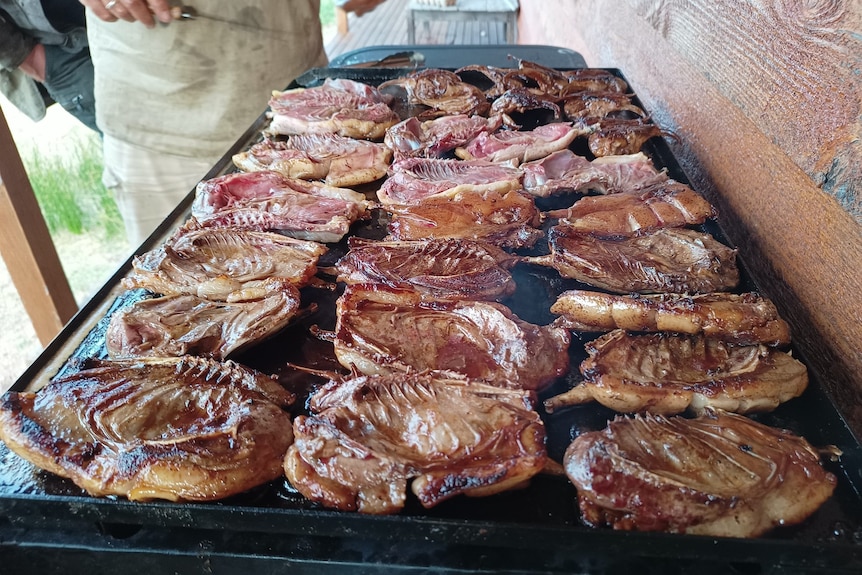 a barbecue hot plate covered in cooking steak like pieces of mutton bird 